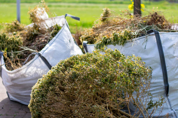 Best Hoarding Cleanup  in Maize, KS